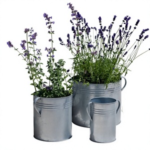 Ensemble de 3 jardinières en acier galvanisé, design fabuleux, pots à fleurs en métal avec poignées pour la décoration du jardin et de la maison, prix économique - Product Image 1