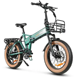 Armazém no exterior Dropshipping XWLX09-II 48V13A Bateria de íon de lítio 20 Polegada 4.0 Pneu gordo 1000W 7 velocidades Bicicleta de montanha elétrica