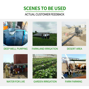 Dc 24V <span class=keywords><strong>MPPT</strong></span> điều khiển động cơ không chổi than giếng sâu chìm vít năng lượng mặt trời Máy bơm nước cho hệ thống nông nghiệp - Product Image 6