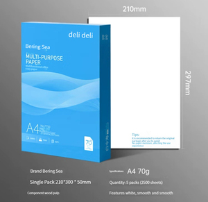 Papel de impresora Deli 7754 alta calidad <span class=keywords><strong>Bering</strong></span> <span class=keywords><strong>Sea</strong></span> A4 70g 500 hojas * 8 paquetes de papel para rascar 4000 hojas FCL - Product Image 4