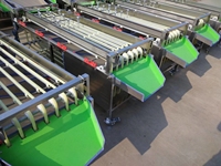 Heetverkopende olijven sorteermachine, appel sorteermachine, citrus sorteermachine