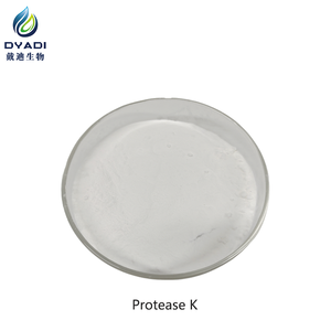 Proteinase K de qualité réactif pour la dégradation des protéines dans l'extraction des acides nucléiques - Product Image 1
