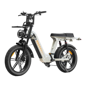 Vélo électrique de montagne D50, moteur 250W, pneus larges, vélo électrique 48V, 20 pouces, double amortisseur, Fatbike pour la conduite hors route, la montagne, la neige - Product Image 3