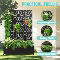 Écran de Jardinière en Bande d'Acier Galvanisé - Taille et Design Personnalisés, Cloison de Jardin Extérieure, Décoration Extérieure