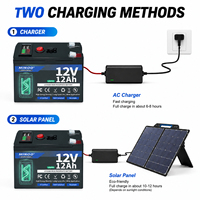 Paket Baterai Lifepo4 Tenaga Surya Off Grid 12V/48v, Papan Proteksi Terintegrasi Baterai Lithium Pilihan Kapasitas Beragam