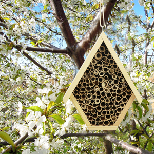 Hotel para Insectos de Madera con Certificación FSC y BSCI, Casa para Abejas, Mariquitas y Mariposas, Hotel Grande y Natural para Abejas Masonas y Mariquitas con Estaca y Comedero - Product Image 5