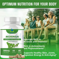 Complément Énergétique Probiotique à Base d'Extrait de Feuilles de Moringa Marque Blanche – Capsules de Moringa et Thé Vert Pur Naturel en Gros