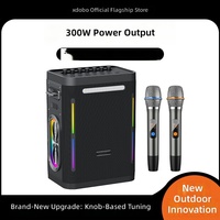 Speaker Karaoke Outdoor 300W untuk 5.3 Mikrofon Nirkabel Ganda Portabel Tahan Air Pencahayaan RGB TWS TF/AUX Full-Range