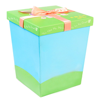 Boîte cadeau écologique pour enfants, dessin animé, fermeture magnétique, base rigide, emballage avec ruban, jouets, collations, cadeaux d'anniversaire, impression personnalisée