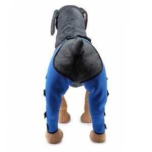 Bantalan lutut hewan peliharaan, pembungkus kaki baru, pelindung pemulihan cedera, penjepit lutut anjing yang dapat disesuaikan - Product Image 5