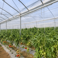Film de couverture de serre agricole en LDPE, bâche plastique anti-goutte en rouleau pour la culture de tomates, concombres et poivrons