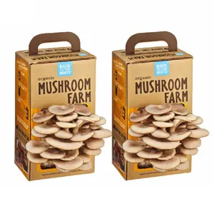 Customized Logo Manufacturer Corrugated Paper Packaging Mushroom Grow Boxes For Vegetables And Fruits