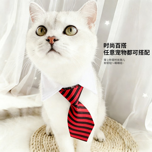 Corbata para mascotas a rayas, suave, tamaño mediano, para gatos, perros, decoraciones para fiestas - Product Image 4