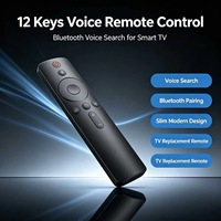 Control Remoto de 12 Teclas con Activación por Voz para Smart TV LCD, Android TV Box, Carcasa Personalizada OEM ODM, Suministro de Fábrica