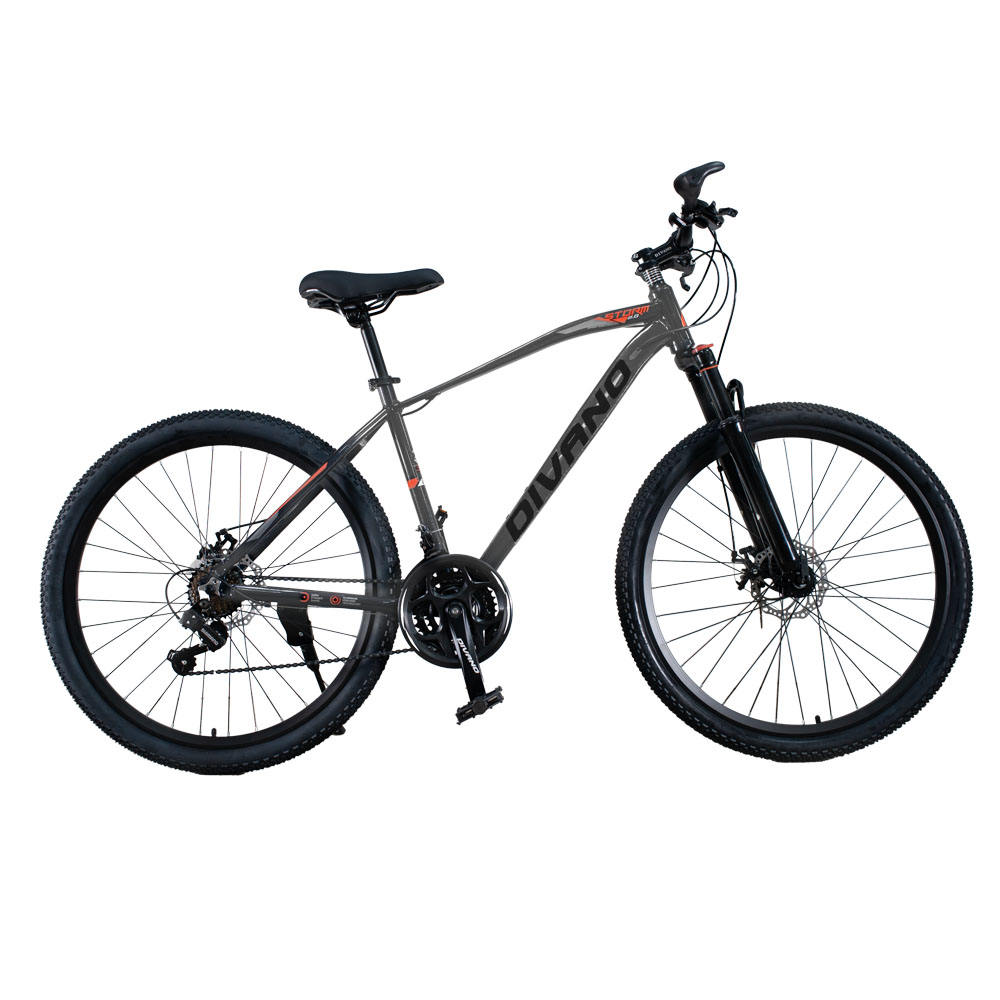 Wholesale Bike of Taiwan Quality Fixed Gear Ebikes