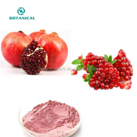 Bci Leveren Gedroogd Organisch Granaatappelpoeder Natuurlijk/Granaatappelfruitpoeder P.E.