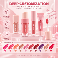Gloss à lèvres RTS 4ml effet crème glacée, haute brillance, scintillant, hydratant, 20 couleurs, faible MOQ 3 pièces, vente en gros, logo personnalisé