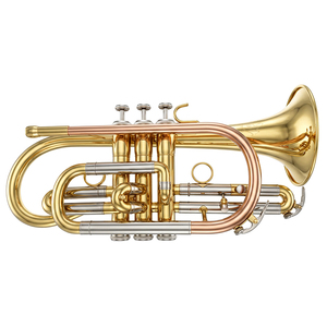 <span class=keywords><strong>Corneta</strong></span> <span class=keywords><strong>Dorada</strong></span> de Latón de Alto Rendimiento con Juego de Accesorios y Estuche - Product Image 1
