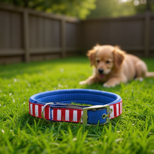 Collare per Animali Domestici in Schiuma di Nylon Premium per Comfort e Supporto - Product Image 2