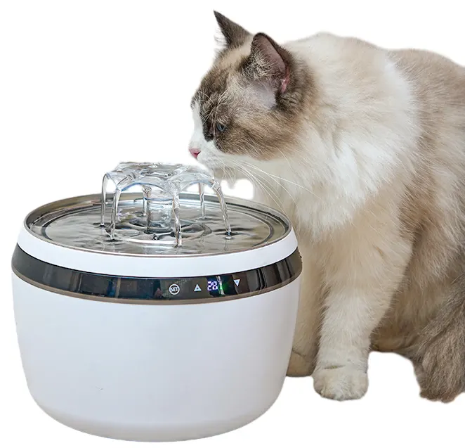 304 distributeur d'eau à capteur en acier inoxydable automatique 2L fontaine d'eau thermostatique intelligente pour animaux de compagnie pour chiens chats