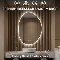 Miroir LED infini sans cadre SOJU, 3 couleurs, à intensité variable, lumineux, de forme spéciale, rétroéclairé, intelligent, pour hôtel et salle de bain