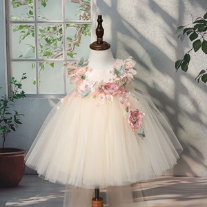 3rd birthday princess dress Girls Elegant Princess Dresses for Party Birthday 2 3 4 6 7 8 Years Ki   Mega Mart Center