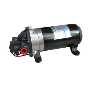 Bomba de Diafragma de Alta Presión Lifesrc 12V DP-170 170psi para Agricultura y Uso Marino, OEM, Caudal de 5.5L/min, Certificación CE, Serie DP - Product Image 2