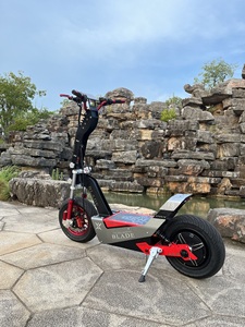 Patinete eléctrico de largo alcance para adulto, 100km, movilidad, e-scooter - Product Image 5