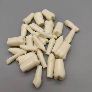 Juego completo de modelos de arco dental de 28 piezas para práctica y examen de estudiantes, dientes endodónticos extraídos para ciencia médica - Product Image 5