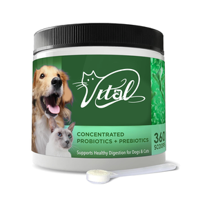 Probiotiques Miracle-Advanced pour chiens Prébiotiques spécifiques aux espèces Soulager la diarrhée Tabouret lâche Infections à levures Soutien immunitaire - Product Image 5