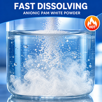 Flocculant chimique anionique polyacrylamide en poudre APAM pour la déshydratation des boues municipales, pureté 99%, marque Zhendong