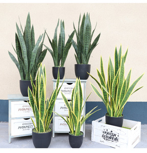Simulation de plantes en pot d'orchidées tigres de verdure PVC souple fausses plantes artificielles simulation d'intérieur <span class=keywords><strong>orchidée</strong></span> <span class=keywords><strong>tigre</strong></span> - Product Image 5