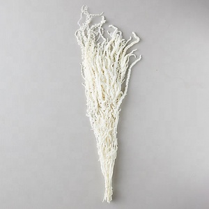 Altri Fiori e Piante Decorative di Alta Qualità, Fiori Secchi Colorati, Piante Pendenti Naturali, Fiori Veri Preservati di Amaranto - Product Image 5