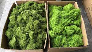 Q-1311 Kunstmosgras Natuurlijk Kunstmatig Zacht Mos Kunstmos Voor Wanddecoratie Woondecoratie - Product Image 3