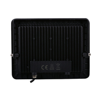 50W extérieur LED lumière d'inondation IP65 étanche Rechargeable jardin projecteur éclairage projecteur projecteurs muraux pour l'extérieur