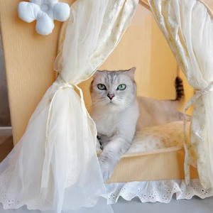 Tienda de campaña moderna de encaje para mascotas, nido, gran espacio, casa de princesa para gatos, cama rectangular para gatos, cueva hecha de pana, tienda transfronteriza para perros y gatos - Product Image 3