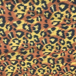 Leopard1