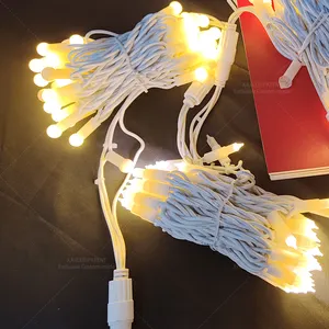 O jardim europeu da patente conduziu luzes da corda para a decoração do feriado Luzes do Natal ip65 conduziu a luz borracha da corda