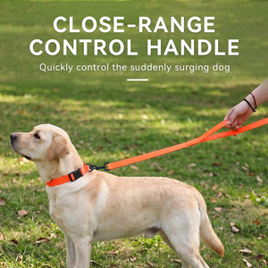 Correa para Perro Ajustable de Doble Bucle a Prueba de Explosiones, Fácil de Controlar, Cinta Resistente Recubierta de PVC con Hebilla Metálica de Liberación Rápida - Product Image 6