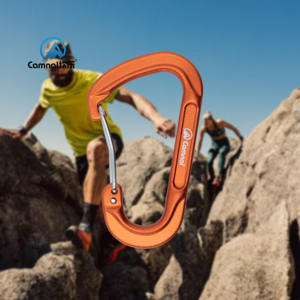 Mosquetón de escalada de aluminio <span class=keywords><strong>en</strong></span> forma de <span class=keywords><strong>D</strong></span> Camnal de 60mm, nuevo estilo con logotipo personalizado, gancho pequeño, mosquetones a presión - Product Image 2