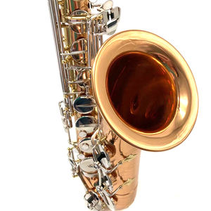 簡単にプレイできる人気モデルOEMおよびODM製造アルトサックス - Product Image 2