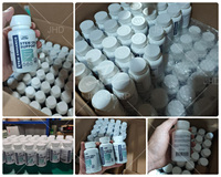 Capsules de soutien aux cellules souches AFA Spirulina Fucoidan 60 unités OEM Marque privée