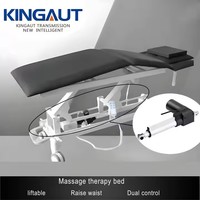 Aktuator Linear Listrik Grosir 12V/24V DC IP43 Tahan Air Bersertifikasi CE Torsi Tinggi Kapasitas Beban 6000N Magnet Permanen Kipas