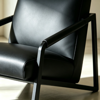 Fauteuil simple Tenghang traditionnel à structure métallique, revêtement en similicuir, accoudoirs rembourrés, pieds en bois doux, chaise longue pour salon