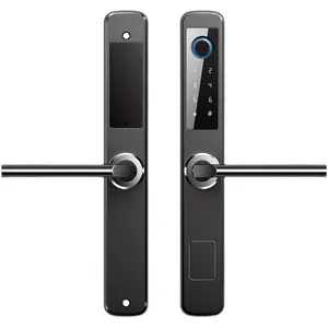 Outdoor double sided electric door lock fingerprint waterproof lock sliding gate Door Lock