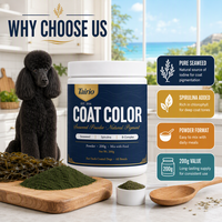 Poudre de couleur pour pelage de chiens à poils foncés à base d'algues et de spiruline 200g – Mélange à l'alimentation – Pigment naturel – Vente en gros