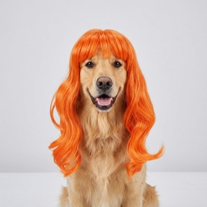 Perruque pour animaux de compagnie HLC couleur blond et rose avec frange complète, longue perruque ondulée bouclée pour animaux, perruques de costume pour fêtes et festivals pour animaux de compagnie - Product Image 1