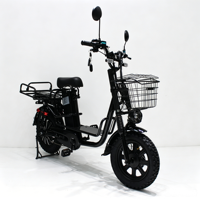 60V20Ah -40 ℃   Vélo électrique tout-terrain à pneus larges résistant au froid LiFePO4 1000W/1500W pour le marché de la Russie et de l'Asie centrale