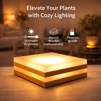 Lampe de sol moderne à LED pour plantes, support en bois pour pot de fleurs, lampe de bureau pour éclairage d'ambiance intérieur
