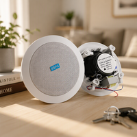 Haut-parleur encastré au plafond de 5,25 pouces, 20 W, 100 V, boîtier métallique, système audio bidirectionnel pour hôtels